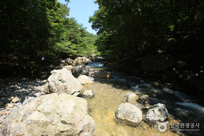 Jangyu Daecheonggyegok Valley (장유대청계곡)