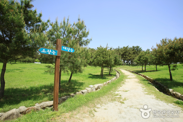 Iksan Ssangneung (익산 쌍릉)