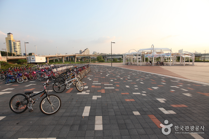 Gwangnaru Hangang Park (광나루한강공원)