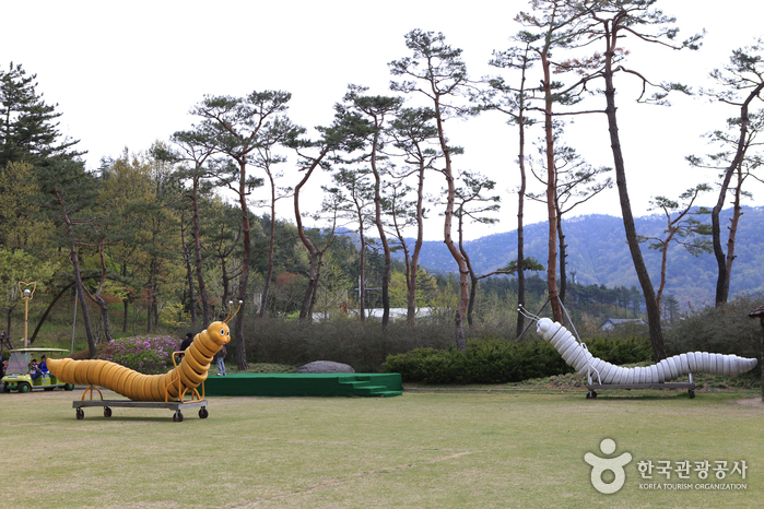 Hampyeong Ecological Park (함평 자연생태공원)