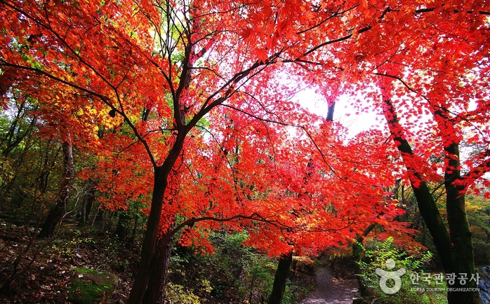 Gwanaksan Mountain (관악산)