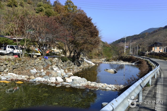 Goundonggyegok Valley (고운동계곡)