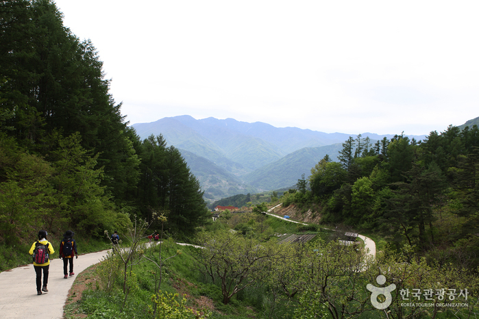 [Jirisan Trail Course] Inwol-Geumgye