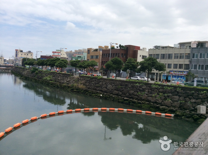 Sanjicheon Stream (산지천)