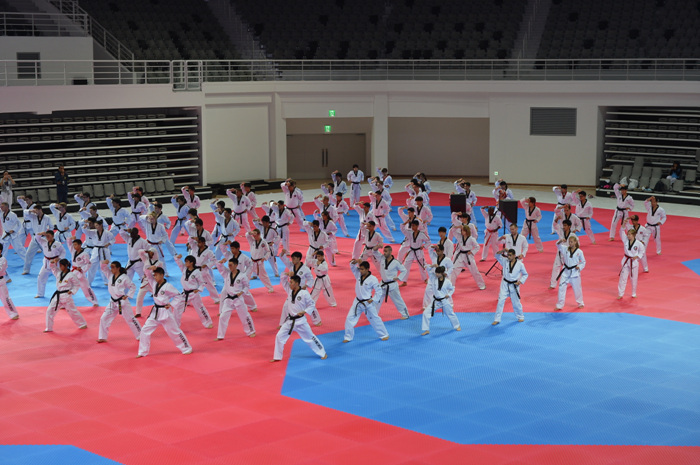 Taekwondowon Spirit Zone (태권도원 상징지구)