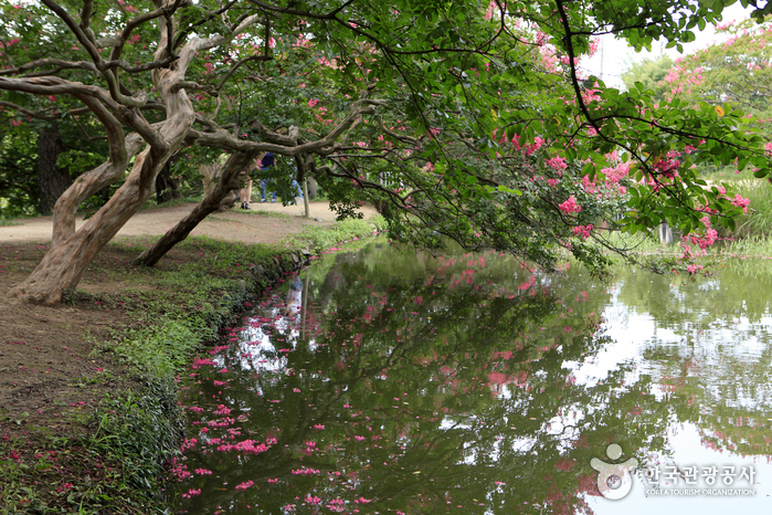 Myeongokheon Garden (담양 명옥헌 원림)