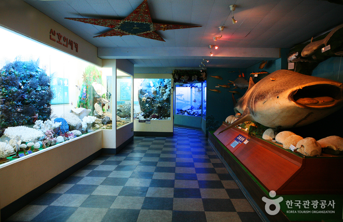 Ttangkkut Marine Natural History Museum (땅끝해양자연사박물관)