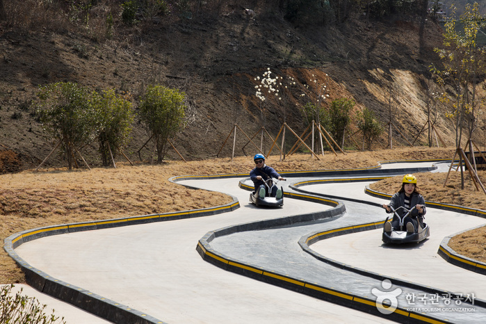 Skyline Luge (스카이라인 루지)