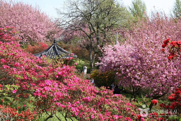 Wansan Park (완산공원)