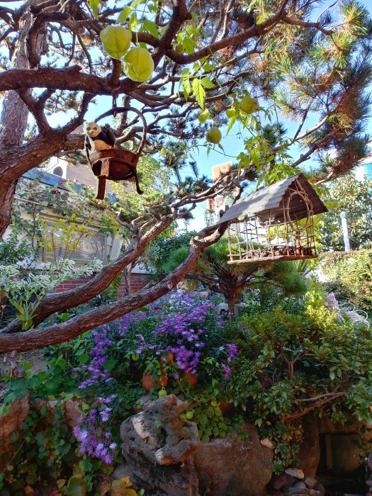 Fine day (좋은날)