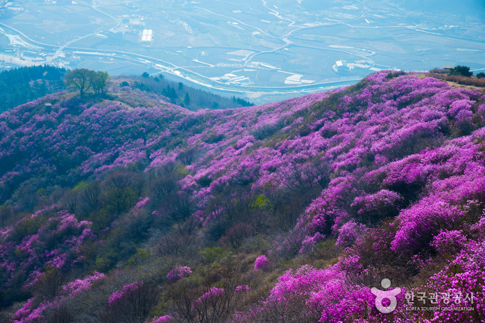 Yeosu Yeongchwisan Mountain (영취산 (여수))