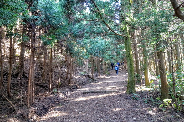 Geomunoreum Lava Tube [UNESCO World Natural Heritage Site] (거문오름 [유네스코 세계자연유산])