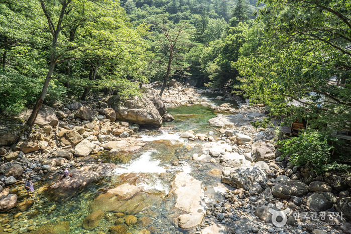 Daewonsagyegok Valley (대원사계곡)