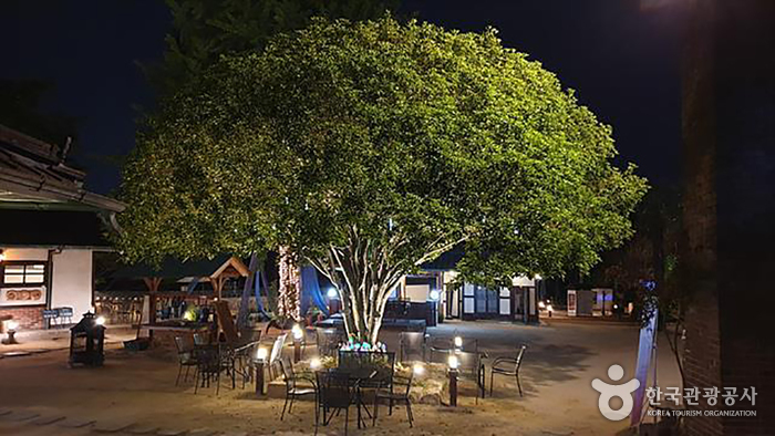 3917Majung (3917마중)