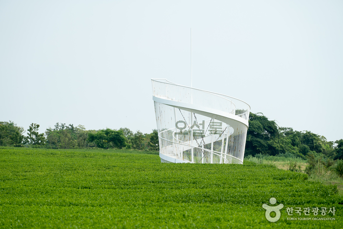 O’sulloc Tea Museum (오설록 티뮤지엄)