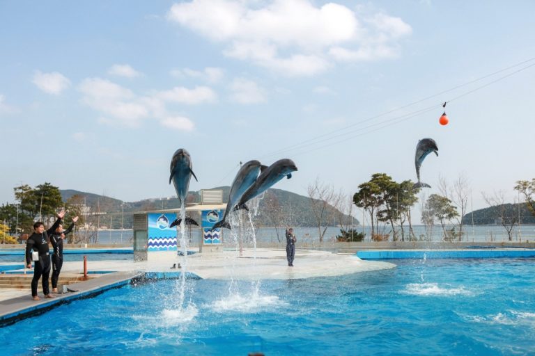 Geoje Sea World (거제씨월드)