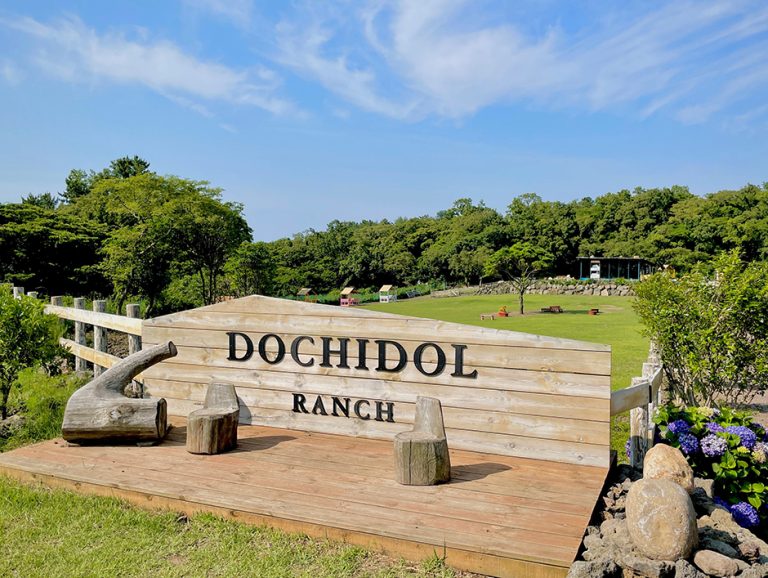 Dochidol Ranch (도치돌 알파카목장)