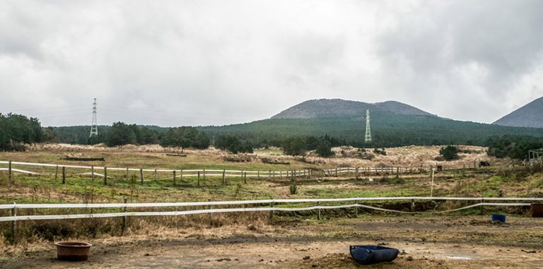 Jokeunnokkome Oreum Volcanic Cone (족은노꼬메오름)