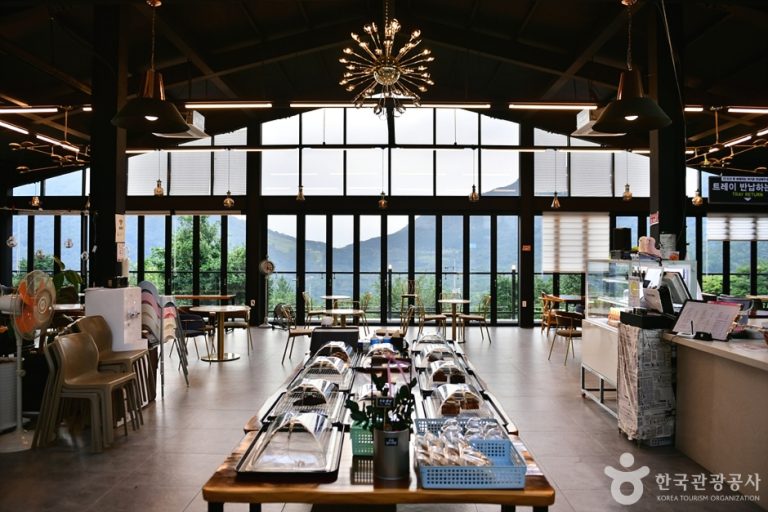 Hola Alpaca Café (올라알파카카페)