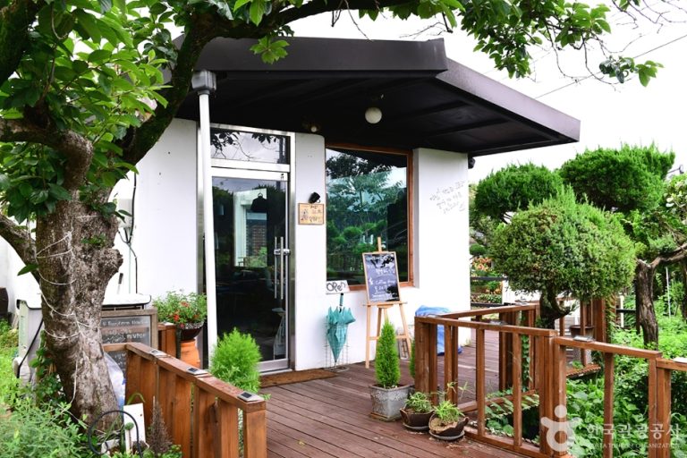 Wangbeot 165 (왕벚165)