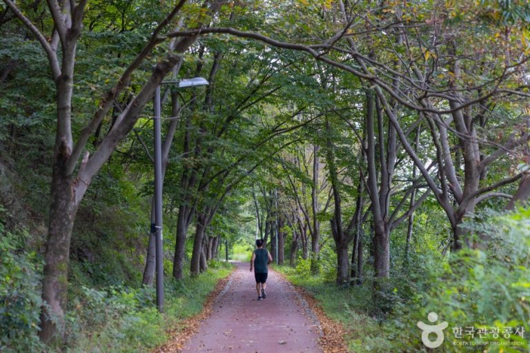 Baramssoeneun-gil Road (바람쐬는길)