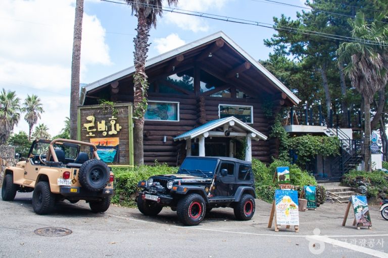 The Dull Ice Flower (로빙화)