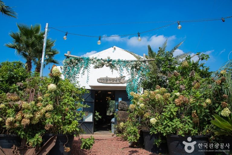 Little Prince Citrus Orchard (어린왕자감귤밭)