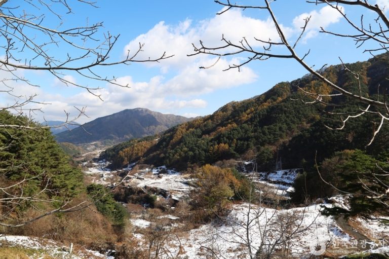 Jirisan Recreational Forest (국립 지리산자연휴양림)