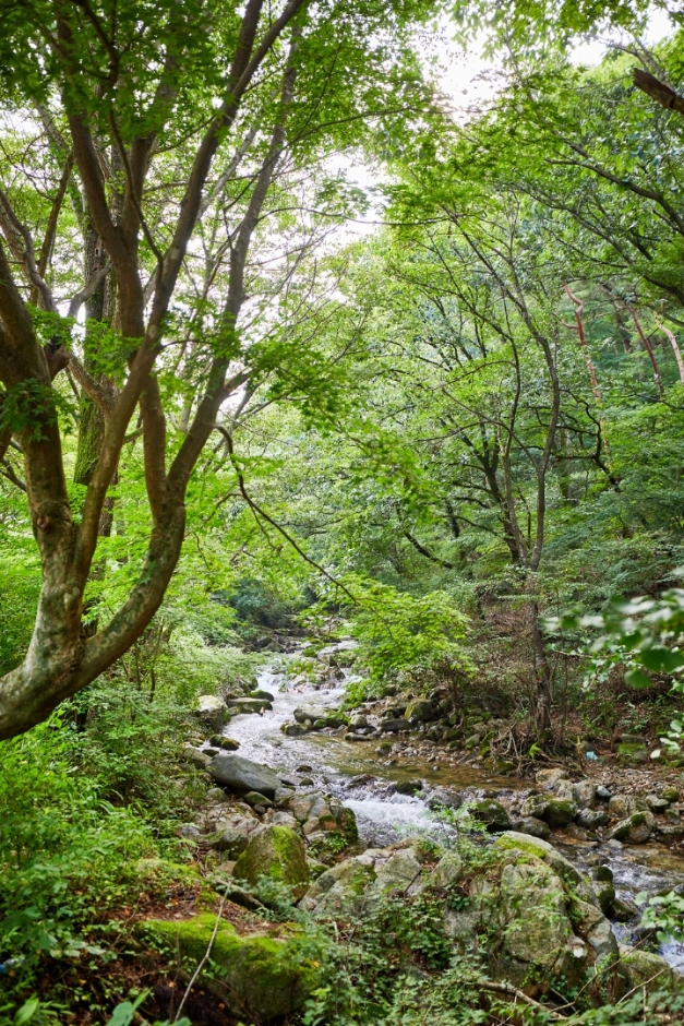 Moaksan Provincial Park (모악산 도립공원)