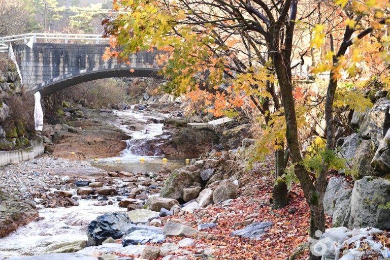 Dongsang Unjangsangyegok Valley (동상운장산계곡)