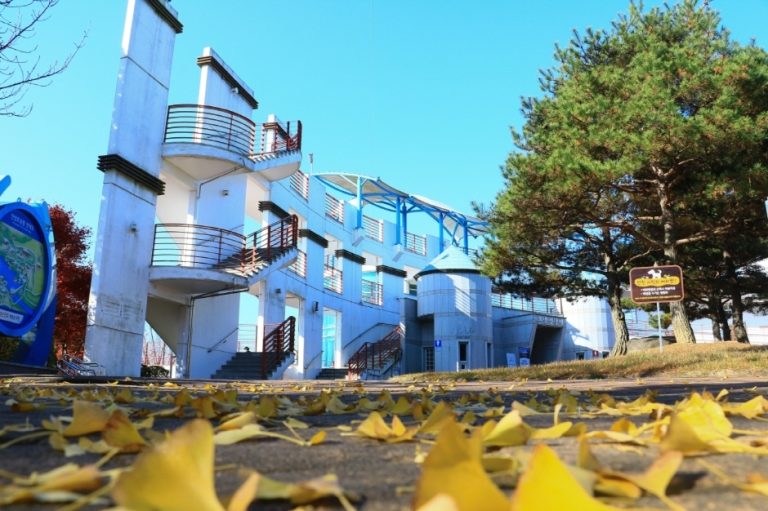 Jinyangho Park (진양호 공원 (진양호 전망대, 동물원))