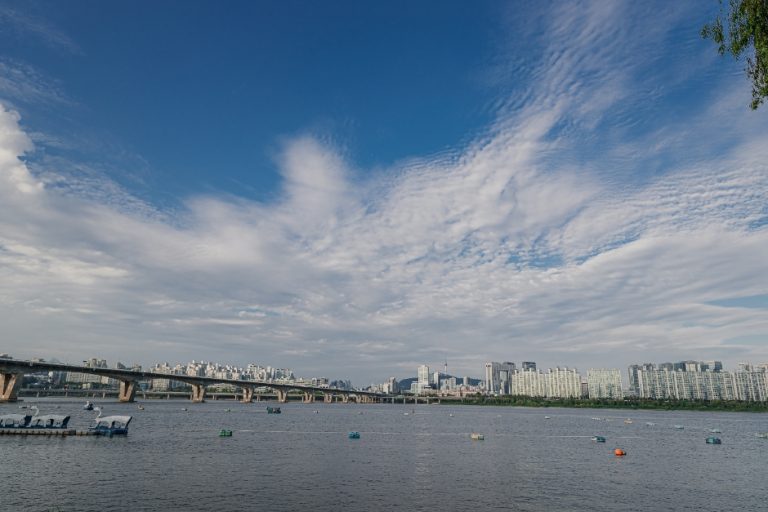 Yeouido Hangang Park (여의도한강공원)