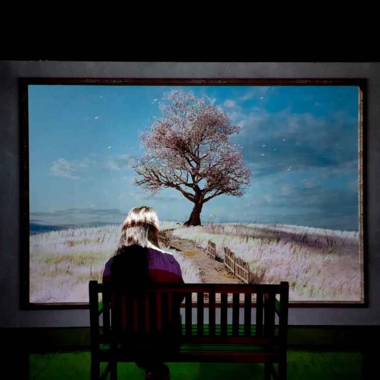 Jeju Holic Museum (제주홀릭뮤지엄)