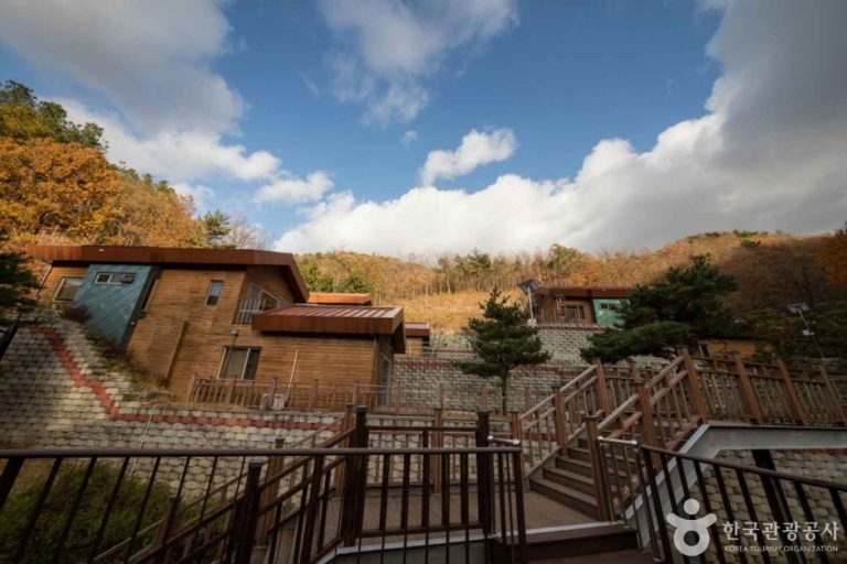 Jeonnam Area Environmental Disease Prevention Management Center (전남권 환경성질환 예방관리센터)