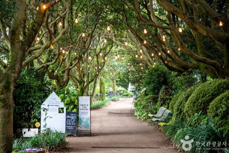 Camellia Hill (카멜리아힐)