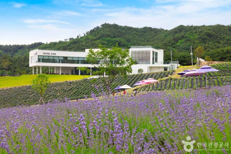 Herb One (정읍 허브원)