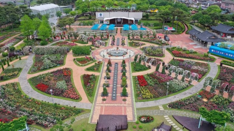 Gokseong International Rose Festival (곡성세계장미축제)