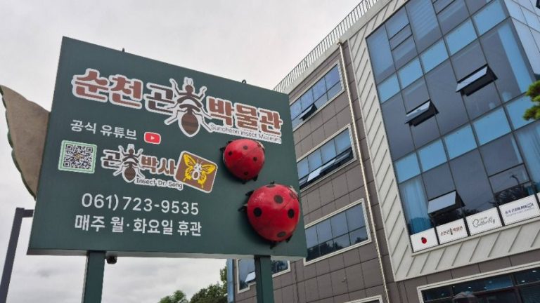 Suncheon Insect Museum (순천곤충박물관)