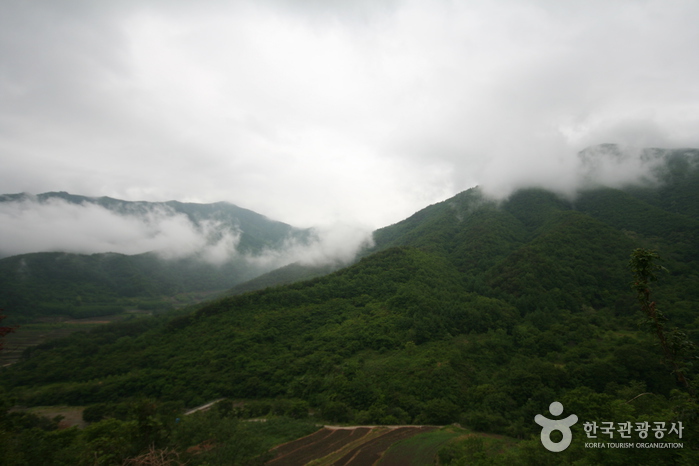 Jirisan National Park (Sancheong) (지리산국립공원(산청))