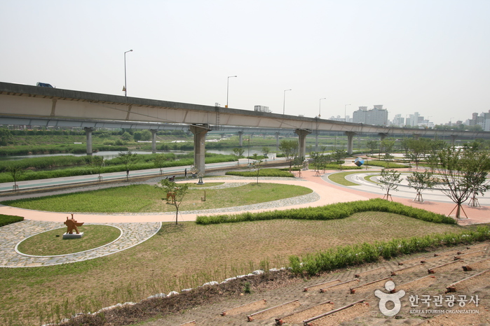 Salgoji Sports Park (살곶이 체육공원)