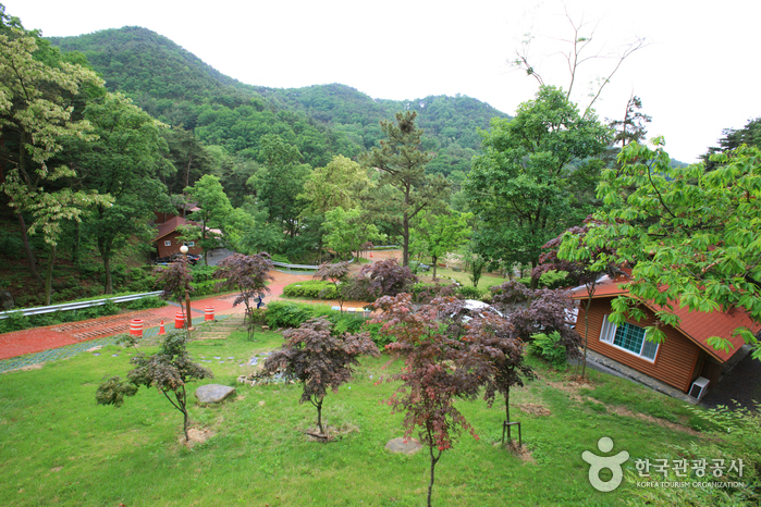 Songjeong Recreational Forest (송정 자연휴양림)