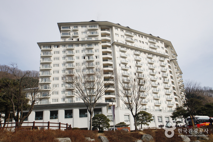 Elysian Gangchon Ski Resort (엘리시안 강촌 리조트)