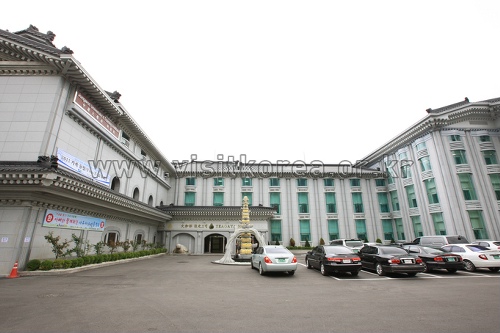 Gaya Hotel (가야호텔)