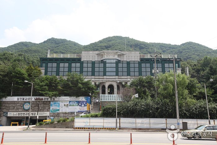 Nungin Sunwon (능인선원)