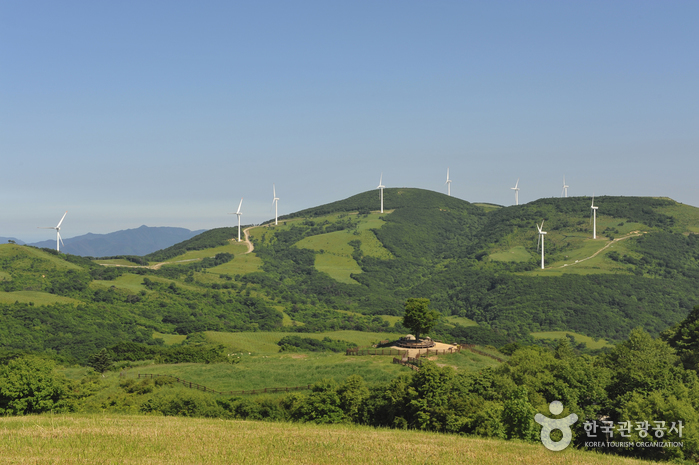 Daegwallyeong Special Tourist Zone (대관령 관광특구)