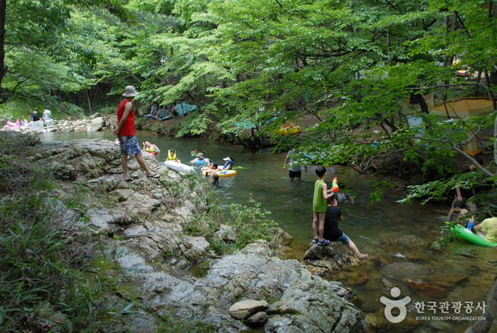 Nami Recreational Forest (남이자연휴양림)