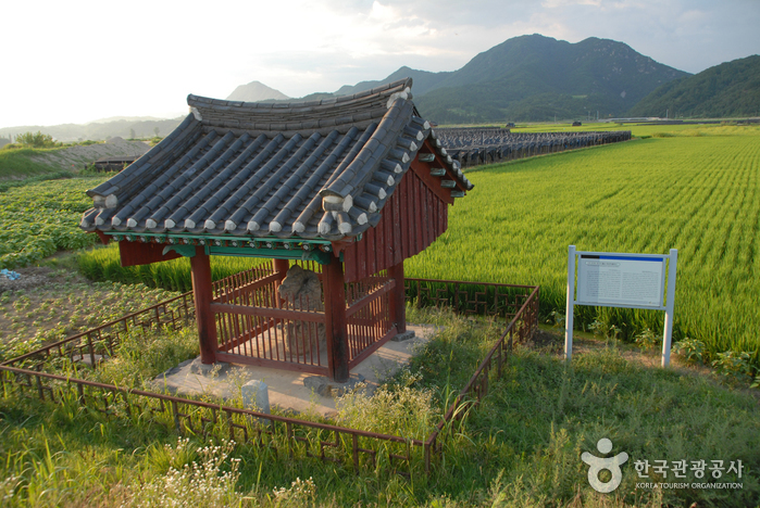 Dragon Statue and Tiger Statue in Cheonnae-ri, Geumsan (금산 천내리 용호석)