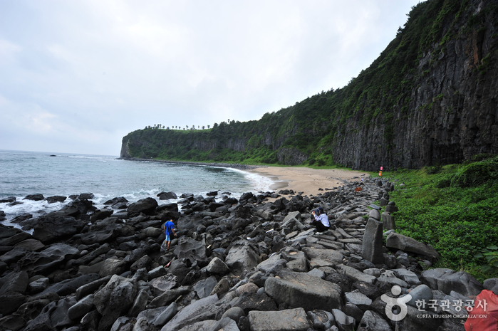 Jeju Island Special Tourist Zone (제주도 관광특구)