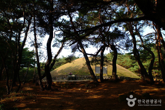 Tomb of Queen Seondeok (경주 선덕여왕릉)
