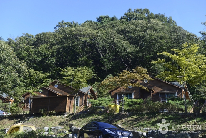 Yongin Recreational Forest (용인자연휴양림)